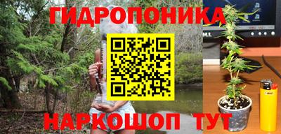 ешки Обнинск